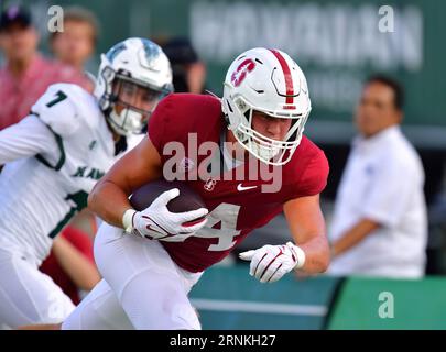 Honolulu, Hawaii, USA. 1 settembre 2023. Il quarterback degli Stanford Cardinal ASHTON DANIELS (14) corse il pallone durante il primo quarto di una partita tra gli Stanford Cardinal e gli Hawaii Warriors giocata al Clarence T.C. Ching Stadium, Honolulu, Hawaii. (Immagine di credito: © Steven Erler/ZUMA Press Wire) SOLO USO EDITORIALE! Non per USO commerciale! Foto Stock