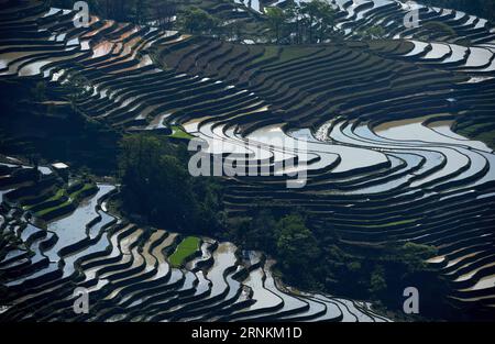 (170410) -- YUANYANG, 10 aprile 2017 -- foto scattata il 9 aprile 2017 mostra il paesaggio dei campi terrazzati Hani nella contea di Yuanyang, nella provincia dello Yunnan della Cina sud-occidentale. L'Organizzazione delle Nazioni Unite per l'educazione, la scienza e la cultura, o UNESCO, ha inserito il paesaggio culturale cinese delle risaie di Honghe Hani nella sua lista dei patrimoni mondiali nel 2013. ) (lfj) CHINA-YUNNAN-HANI TERRACE-SCENOGRAFIA (CN) LinxYiguang PUBLICATIONxNOTxINxCHN Yuan Yang 10 aprile 2017 la foto scattata IL 9 aprile 2017 mostra il paesaggio dei campi terrazzati di Hani nella contea di Yuan Yang nella provincia dello Yunnan della Cina sud-occidentale la EDU delle Nazioni Unite Foto Stock