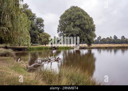 Calme acque tranquille presso gli stagni del Bushy Park nel Surrey in una fredda e rinfrescante mattinata autunnale Foto Stock