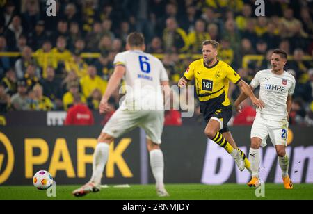 Dortmund, Germania. 1 settembre 2023. Niclas Füllkrug (BVB) Borussia Dortmund - 1. FC Heidenheim 01.09.2023 Copyright (nur für journalistische Zwecke) Foto Stock