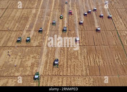 (170607) -- HANDAN, 7 giugno 2017 -- i raccoglitori raccolgono il grano nei campi della contea di Cheng An, nella provincia di Hebei nella Cina settentrionale, 7 giugno 2017. ) (wyo) CINA-HEBEI-WHEAT HARVEST (CN) MuxYu PUBLICATIONxNOTxINxCHN Handan 7 giugno 2017 le vendemmiatrici raccolgono il frumento nei campi di Cheng nella provincia di Hebei nella contea della Cina settentrionale 7 giugno 2017 wyo China Hebei wheat Harvest CN MuxYu PUBLICATIONxNOTxINxCHN Foto Stock