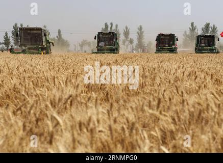 (170607) -- HANDAN, 7 giugno 2017 -- i raccoglitori raccolgono il grano nei campi della contea di Cheng An, nella provincia di Hebei nella Cina settentrionale, 7 giugno 2017. ) (wyo) CINA-HEBEI-WHEAT HARVEST (CN) MuxYu PUBLICATIONxNOTxINxCHN Handan 7 giugno 2017 le vendemmiatrici raccolgono il frumento nei campi di Cheng nella provincia di Hebei nella contea della Cina settentrionale 7 giugno 2017 wyo China Hebei wheat Harvest CN MuxYu PUBLICATIONxNOTxINxCHN Foto Stock