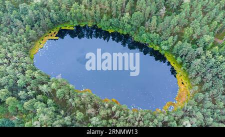 Vista aerea di un piccolo lago nelle foreste della Lituania, natura selvaggia, area paludosa. Il nome del lago è "Velniskis", distretto di Varėna. Foto Stock