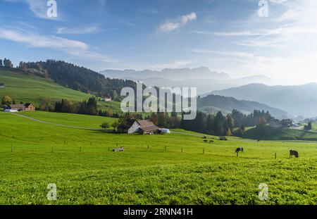 Paesaggio montuoso collinare nelle Alpi Appenzellesi, vista verso i monti Alpstein con Saentis, Appenzellerland, Svizzera Foto Stock
