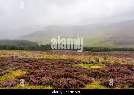 Paesaggio montano con fitta nebbia che scende dalle cime delle Highlands scozzesi. Foto Stock