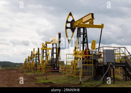 (170703) -- IZHEVSK, 3 luglio 2017 -- foto scattata il 2 giugno 2017 mostra il campo di perforazione di pozzi del progetto Udmurtia Petroleum Corp a Udmurtia, una repubblica nella Russia occidentale. Sulla vasta pianura dell'Europa orientale, 1.200 km a est di Mosca, le linee di macchine pompanti si ergono sulla verde prateria. È la sede della Udmurtia Petroleum Corp (UDM), una joint venture energetica tra Russia e Cina. L'UDM è stata acquistata dalla China Petroleum and Chemical Corp., nota anche come Sinopec, e dal colosso petrolifero russo Rosneft nell'agosto 2006. (dtf) RUSSIA-IZHEVSK-UDM-CINA-ENERGIA BaixXueqi PUBLICATIONxNOTxINxCHN i Foto Stock