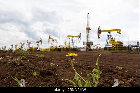 (170703) -- IZHEVSK, 3 luglio 2017 -- foto scattata il 2 giugno 2017 mostra il campo di perforazione di pozzi del progetto Udmurtia Petroleum Corp a Udmurtia, una repubblica nella Russia occidentale. Sulla vasta pianura dell'Europa orientale, 1.200 km a est di Mosca, le linee di macchine pompanti si ergono sulla verde prateria. È la sede della Udmurtia Petroleum Corp (UDM), una joint venture energetica tra Russia e Cina. L'UDM è stata acquistata dalla China Petroleum and Chemical Corp., nota anche come Sinopec, e dal colosso petrolifero russo Rosneft nell'agosto 2006. (dtf) RUSSIA-IZHEVSK-UDM-CINA-ENERGIA BaixXueqi PUBLICATIONxNOTxINxCHN i Foto Stock