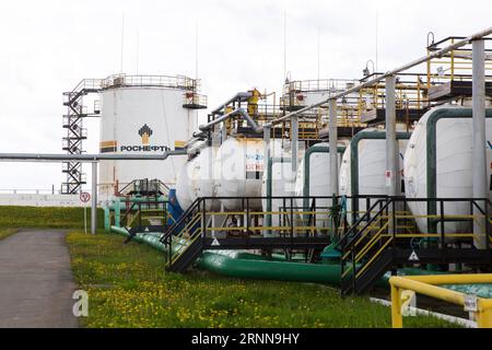 (170703) -- IZHEVSK, 3 luglio 2017 -- foto scattata il 2 giugno 2017 mostra un impianto del progetto Udmurtia Petroleum Corp a Udmurtia, una repubblica nella Russia occidentale. Sulla vasta pianura dell'Europa orientale, 1.200 km a est di Mosca, le linee di macchine pompanti si ergono sulla verde prateria. È la sede della Udmurtia Petroleum Corp (UDM), una joint venture energetica tra Russia e Cina. L'UDM è stata acquistata dalla China Petroleum and Chemical Corp., nota anche come Sinopec, e dal colosso petrolifero russo Rosneft nell'agosto 2006. (dtf) RUSSIA-IZHEVSK-UDM-CINA-ENERGIA BaixXueqi PUBLICATIONxNOTxINxCHN Izhevsk 3 luglio 20 Foto Stock