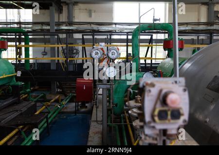 (170703) -- IZHEVSK, 3 luglio 2017 -- foto scattata il 2 giugno 2017 mostra un impianto del progetto Udmurtia Petroleum Corp a Udmurtia, una repubblica nella Russia occidentale. Sulla vasta pianura dell'Europa orientale, 1.200 km a est di Mosca, le linee di macchine pompanti si ergono sulla verde prateria. È la sede della Udmurtia Petroleum Corp (UDM), una joint venture energetica tra Russia e Cina. L'UDM è stata acquistata dalla China Petroleum and Chemical Corp., nota anche come Sinopec, e dal colosso petrolifero russo Rosneft nell'agosto 2006. (dtf) RUSSIA-IZHEVSK-UDM-CINA-ENERGIA BaixXueqi PUBLICATIONxNOTxINxCHN Izhevsk 3 luglio 20 Foto Stock