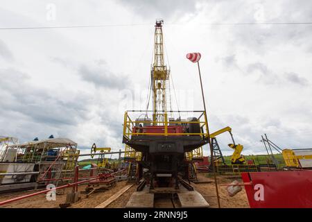 (170703) -- IZHEVSK, 3 luglio 2017 -- foto scattata il 2 giugno 2017 mostra il campo di perforazione di pozzi del progetto Udmurtia Petroleum Corp a Udmurtia, una repubblica nella Russia occidentale. Sulla vasta pianura dell'Europa orientale, 1.200 km a est di Mosca, le linee di macchine pompanti si ergono sulla verde prateria. È la sede della Udmurtia Petroleum Corp (UDM), una joint venture energetica tra Russia e Cina. L'UDM è stata acquistata dalla China Petroleum and Chemical Corp., nota anche come Sinopec, e dal colosso petrolifero russo Rosneft nell'agosto 2006. (dtf) RUSSIA-IZHEVSK-UDM-CINA-ENERGIA BaixXueqi PUBLICATIONxNOTxINxCHN i Foto Stock