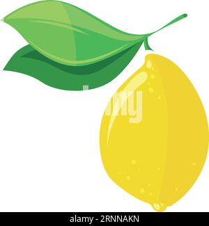 Limone che cresce sul ramo. Frutto del cartone animato appeso all'albero Illustrazione Vettoriale