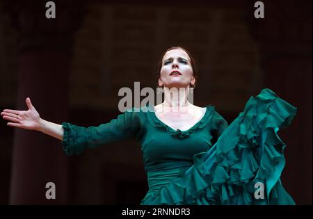 (170710) -- FRANCOFORTE, 10 luglio 2017 -- la ballerina di flamenco Bettina Castano si esibisce al 30° Rheingao Music Festival a Bad Homburg, Germania, il 9 luglio 2017. Il 30° Rheingao Music Festival si svolge dal 24 giugno al 2 settembre. ) (zw) GERMANY-RHEINGAO MUSIC FESTIVAL-BETTINA CASTANO LuoxHuanhuan PUBLICATIONxNOTxINxCHN Francoforte 10 luglio 2017 la ballerina di flamenco Bettina Castano si esibisce AL 30° Rheingao Music Festival a Bath Homburg Germania IL 9 luglio 2017 il 30° Rheingao Music Festival si svolge dal 24 giugno al 2 settembre ZW Germany Rheingao Music Festival Bettina Castano LuoxHuanhuan PUBLICATIONxNOTxINxCH Foto Stock