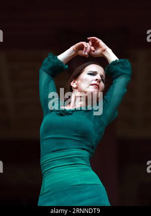 (170710) -- FRANCOFORTE, 10 luglio 2017 -- la ballerina di flamenco Bettina Castano si esibisce al 30° Rheingao Music Festival a Bad Homburg, Germania, il 9 luglio 2017. Il 30° Rheingao Music Festival si svolge dal 24 giugno al 2 settembre. ) (zw) GERMANY-RHEINGAO MUSIC FESTIVAL-BETTINA CASTANO LuoxHuanhuan PUBLICATIONxNOTxINxCHN Francoforte 10 luglio 2017 la ballerina di flamenco Bettina Castano si esibisce AL 30° Rheingao Music Festival a Bath Homburg Germania IL 9 luglio 2017 il 30° Rheingao Music Festival si svolge dal 24 giugno al 2 settembre ZW Germany Rheingao Music Festival Bettina Castano LuoxHuanhuan PUBLICATIONxNOTxINxCH Foto Stock