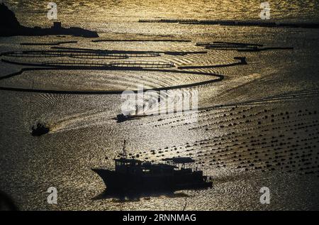 (170721) -- WENZHOU, 21 luglio 2017 -- foto scattata il 20 luglio 2017 mostra il tramonto nelle isole Nanji nella provincia dello Zhejiang nella Cina orientale. L'arcipelago, una delle cinque prime riserve naturali marine della Cina, famoso anche per il suo paesaggio paradisiaco, è nella sua stagione turistica. (clq) CHINA-ZHEJIANG-WENZHOU-NANJI ISLANDS-SCENOGRAFIA XuxYu PUBLICATIONxNOTxINxCHN Wenzhou 21 luglio 2017 foto scattata IL 20 luglio 2017 mostra lo scenario del sole sulle isole NANJI nella provincia dello Zhejiang nella Cina orientale l'Arcipelago una delle cinque riserve naturali della Marina cinese, famosa per il suo paesaggio celeste, È nel suo Tour Foto Stock