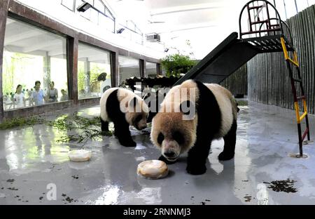 (170721) -- SHANGHAI, 21 luglio 2017 -- panda giganti Godetevi cubetti di ghiaccio all'interno di un recinto climatizzato presso lo zoo di Shanghai nella Shanghai orientale della Cina, 21 luglio 2017. Il dipartimento meteorologico della metropoli della Cina orientale Shanghai ha registrato una temperatura dell'aria di 40,9 gradi Celsius (105,6 gradi Fahrenheit) intorno alle 14:00, venerdì, la più alta mai registrata in città in 145 anni. Lo zoo di Shanghai ha preso molte misure per mantenere gli animali freschi. ) (Lb) CHINA-SHANGHAI-ANIMAL-SUMMER HEAT (CN) ZhangxJiansong PUBLICATIONxNOTxINxCHN Shanghai 21 luglio 2017 Panda giganti Godetevi i cubetti di GHIACCIO all'interno e condit aria Foto Stock