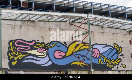 Graffiti artistici sul lato di un edificio nella città di Belfast, Irlanda del Nord. Foto Stock