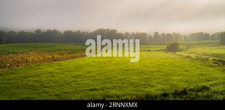 Il sole mattutino brucia la nebbia in un campo di una fattoria del Vermont Foto Stock