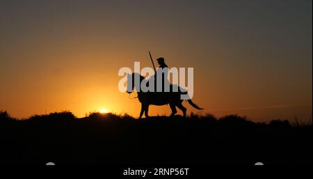 Uomo sul suo Cavallo della Camargue, che galoppa all'alba, Manadier a Saintes Marie de la Mer in Camargue, nel sud della Francia, Cow Boy Foto Stock