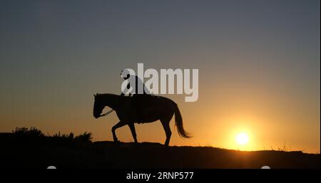 Uomo sul suo Cavallo della Camargue, che galoppa all'alba, Manadier a Saintes Marie de la Mer in Camargue, nel sud della Francia, Cow Boy Foto Stock