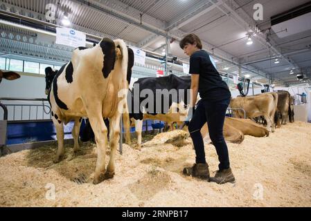 (170819) -- TORONTO (CANADA), 19 agosto 2017 -- Un agricoltore di un caseificio a York City, Ontario, Canada, lavora alla Canadian National Exhibition a Toronto, Canada, il 18 agosto 2017. Gli Stati Uniti hanno aperto la rinegoziazione del North American Free Trade Agreement (NAFTA) di 23 anni, mercoledì, con una dichiarazione che vuole importanti modifiche all'accordo che sposta la bilancia commerciale. Tuttavia, i proprietari di imprese canadesi sperano che i negoziatori statunitensi saranno ricettivi a mantenere, se non migliorare, l'attuale flusso di merci e lavoratori attraverso il confine. Anche se l'industria lattiero-casearia canadese lo era Foto Stock