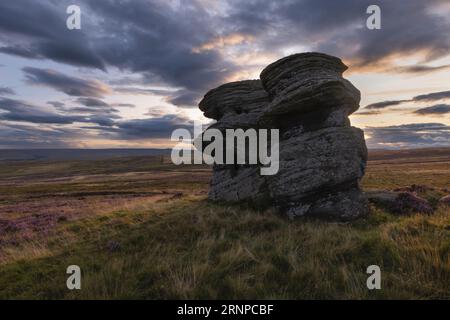 Jenny Twigg e sua figlia Tibb, formazioni rocciose su Fountains Earth Moor, affacciate sulla Nidd Valley, vicino a Lofthouse, Nidderdale, North Yorkshire, Foto Stock