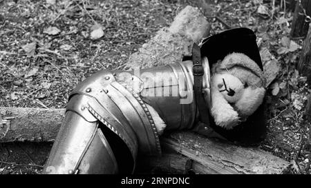 Il braccio di un'armatura di cavalieri su pezzi di legna da ardere. Un cane giocattolo che dorme dentro. Foto Stock