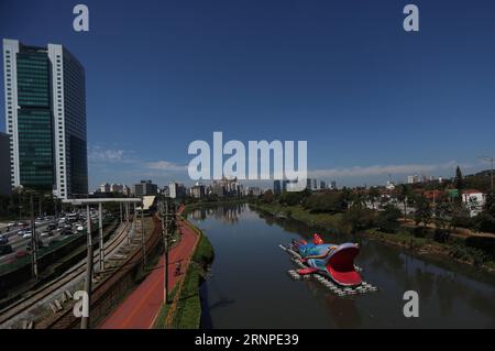 (170825) -- SAN PAOLO, 25 agosto 2017 -- Una rappresentazione di un pesce gigante, lungo 30 metri e alto 7 metri, galleggia attraverso il fiume Pinheiros, a San Paolo, Brasile, il 24 agosto 2017. L'intervento urbano galleggiante chiamato Pintado è opera dell'artista plastico brasiliano Eduardo Srur e fa parte di un evento chiamato Virada Sustentavel , che si svolge dal 24 al 27 agosto a San Paolo, con l'objetive di prendere alla società le azioni relative alla vita sostenibile. ) (Da) (fnc) BRASILE-SAN PAOLO-AMBIENTE-EVENTO RahelxPatrasso PUBLICATIONxNOTxINxCHN San Paolo agosto 25 2017 una rappresentanza di Foto Stock