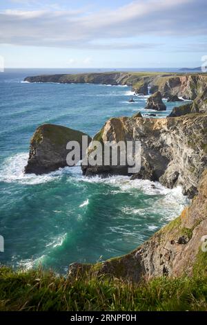 Carnewas e Bedruthan Steps, Pendarves, Redcove, Samaritan, Queen Bess e Carnewas visti dalla cima della scogliera nel nord della Cornovaglia sul sentiero costiero Foto Stock