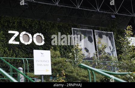 (170829) -- LONDRA, 29 agosto 2017 -- le foto di Tian Tian e Yang Guang sono viste all'ingresso dello zoo di Edimburgo in Scozia, Gran Bretagna il 28 agosto 2017. Tian Tian, l'unica donna panda gigante cinese in Gran Bretagna, è incinta, e un cucciolo potrebbe nascere a settembre, i media locali hanno riportato qui il 24 agosto 2017. Tian Tian, che significa dolcezza in cinese, è nato il 24 agosto 2003 allo zoo di Pechino in Cina. Attualmente vive con Yang Guang, che significa sole in cinese, allo Zoo di Edimburgo, in Scozia. Sono l'unica coppia di panda della Gran Bretagna. ) (ZW) GRAN BRETAGNA-LONDRA-ZOO DI EDIMBURGO-PANDA GIGANTE-GRAVIDANZA Foto Stock