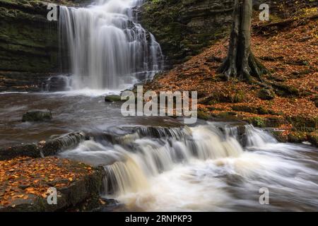 Cascata Scaleber Force sopra Settle, Yorkshire Dales, North Yorkshire, Regno Unito Foto Stock