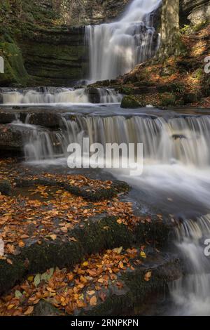 Cascata Scaleber Force sopra Settle, Yorkshire Dales, North Yorkshire, Regno Unito Foto Stock