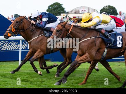 Beverley Racecourse, Beverley, Yorkshire, Regno Unito, sabato 2 settembre 2023. Leodis Dream e il fantino David Nolan si aggiudicano la sfida per handicap Constant Security per l'allenatore Paul Midgley e i proprietari The Beer Stalker & Partner. Credito immagini equine JTW / Alamy Live News. Foto Stock