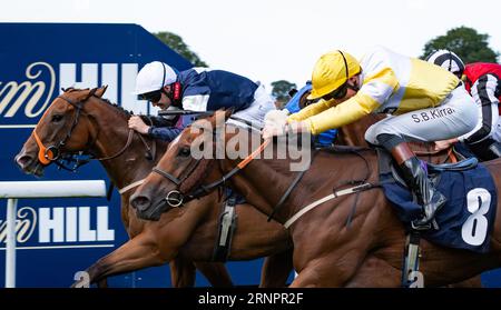 Beverley Racecourse, Beverley, Yorkshire, Regno Unito, sabato 2 settembre 2023. Leodis Dream e il fantino David Nolan si aggiudicano la sfida per handicap Constant Security per l'allenatore Paul Midgley e i proprietari The Beer Stalker & Partner. Credito immagini equine JTW / Alamy Live News. Foto Stock