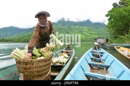 (170908) -- PROVINCIA DI VIENTIANE (LAOS) , 8 settembre 2017 -- Un abitante locale accumula citronella sulla barca sul lago Nam Ngum, vicino al villaggio di Phou Kao Nang, provincia di Vientiane, Laos, 7 settembre 2017. Circa 400 residenti vivono nel villaggio di Phou Kao Nang, che si trova su una delle isole del lago Nam Ngum. LAOS-VIENTIANE PROVINCIA-VILLAGGIO-VITA QUOTIDIANA LIUXAILUN PUBLICATIONXNOTXINXCHN Foto Stock