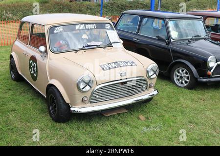 1965 Austin Mini Cooper in mostra. Il Gosport Car Rally è organizzato dal Rotary Club locale e si svolge a Stokes Bay il lunedì festivo di agosto. L'evento di quest'anno, che offriva una giornata economica in famiglia, è stato il settantesimo e ha ospitato auto e moto d'epoca, un allevamento di animali domestici, bancarelle, rinfreschi e un'arena che ha fornito varie forme di intrattenimento. Foto Stock