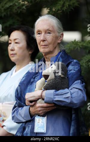 (170915) -- NAZIONI UNITE, 15 settembre 2017 -- il messaggero di pace delle Nazioni Unite Jane Goodall (R) partecipa ad una cerimonia di campana presso la sede delle Nazioni Unite a New York, 15 settembre 2017. Venerdì il Segretario generale delle Nazioni Unite Antonio Guterres ha sottolineato la difficile situazione dei rifugiati e dei migranti e la necessità di porre fine ai conflitti in occasione della giornata internazionale della pace, o giornata mondiale della pace. La cerimonia della campana della pace è un rituale annuale presso la sede delle Nazioni Unite, dove la campana della pace viene suonata dal segretario generale delle Nazioni Unite per le celebrazioni della giornata mondiale della pace, che cade il 21 settembre. ) UN-WORLD PEAC Foto Stock