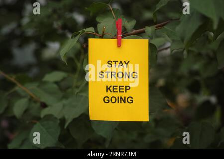 Una nota di carta gialla con le parole "Stay strong" continua ad attaccarla a un ramo dell'albero con una spilla per abiti. Primo piano. Foto Stock