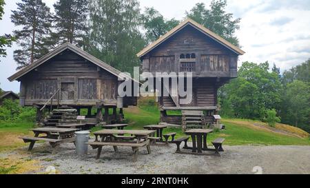 Edificio storico, Telemark, Norvegia. Prato, erba, cielo blu, villaggio Foto Stock