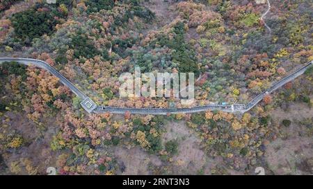 (171028) -- PECHINO, 28 ottobre 2017 -- foto scattata il 28 ottobre 2017 mostra lo scenario autunnale della grande Muraglia Mutianyu a Pechino, capitale della Cina. ) (Zkr) CHINA-BEIJING-MUTIANYU GREAT WALL (CN) ChenxYehua PUBLICATIONxNOTxINxCHN Foto Stock