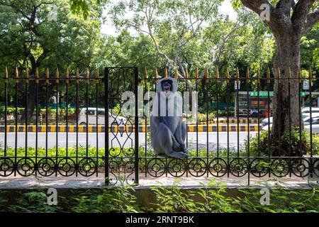 Nuova Delhi, India. 2 settembre 2023. Un ritaglio di langur è legato dal Consiglio municipale di nuova Delhi (NDMC) a una recinzione lungo una strada per spaventare le scimmie vicino a Sardar patel Marg prima del vertice del G20. Nuova Delhi, capitale indiana, è pronta a tenere il vertice dei capi di Stato e di governo del G20 che si terrà il 9 e 10 settembre 2023, in quanto il governo di nuova Delhi aveva emesso una notifica che dichiarava festività nella capitale nazionale l'8 e il 10 settembre. Credito: SOPA Images Limited/Alamy Live News Foto Stock