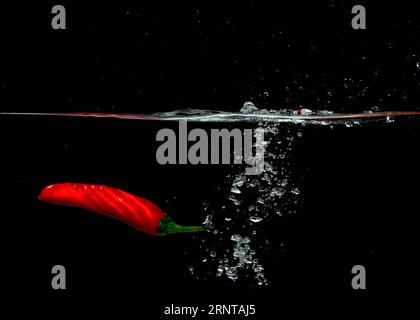 Peperoncino rosso che cade con bolle in acqua su sfondo nero Foto Stock