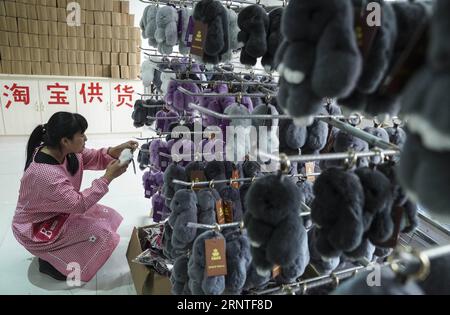 (171108) -- HENGSHUI, 8 novembre 2017 -- Una donna prepara prodotti di pelliccia per le vendite online nella Daying Township Under Zaoqiang County of Hengshui City, nella provincia di Hebei nella Cina settentrionale, 8 novembre 2017. Negli ultimi anni la township si è dedicata alla ricerca e allo sviluppo di prodotti in pelliccia con una rapida espansione delle vendite online. I prodotti di pelliccia prodotti in quel paese sono stati esportati nei mercati asiatici ed europei. ) (mp) CHINA-HEBEI-HENGSHUI-FUR PRODUCTS (CN) YinxGang PUBLICATIONxNOTxINxCHN Foto Stock