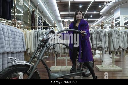 (171108) -- HENGSHUI, 8 novembre 2017 -- Una donna dimostra un cappotto di pelliccia nella Daying Township sotto la contea di Zaoqiang della città di Hengshui, nella provincia di Hebei, nella Cina settentrionale, 8 novembre 2017. Negli ultimi anni la township si è dedicata alla ricerca e allo sviluppo di prodotti in pelliccia con una rapida espansione delle vendite online. I prodotti di pelliccia prodotti in quel paese sono stati esportati nei mercati asiatici ed europei. ) (mp) CHINA-HEBEI-HENGSHUI-FUR PRODUCTS (CN) YinxGang PUBLICATIONxNOTxINxCHN Foto Stock