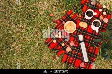 Picnic minimalista con vista dall'alto e spazio per fotocopie Foto Stock