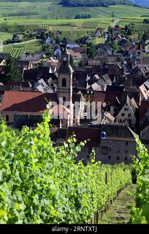 Vista aerea del villaggio e dei vigneti. Riquewihr, Haut-Rhin, Francia Foto Stock