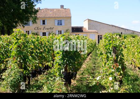 Le Clos Fourtet domaine viticole de Saint-Émilion classé « Premier Grand Cru », 1er Grand cru classé. Production de vin rouge de Saint-Émilion. Vigne Foto Stock