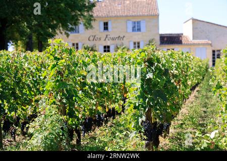 Le Clos Fourtet domaine viticole de Saint-Émilion classé « Premier Grand Cru », 1er Grand cru classé. Production de vin rouge de Saint-Émilion. Vigne Foto Stock