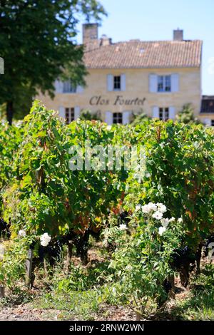 Le Clos Fourtet domaine viticole de Saint-Émilion classé « Premier Grand Cru », 1er Grand cru classé. Production de vin rouge de Saint-Émilion. Vigne Foto Stock