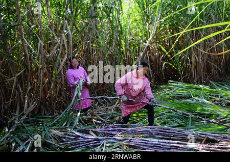 (171211) -- fu AN, 11 dicembre 2017 -- le persone raccolgono zuccheri per la fabbrica di zucchero nel villaggio di Hongkou di Xitan Township in fu An, provincia del Fujian della Cina sudorientale, 9 dicembre 2017. La gente qui usa il metodo più antico per produrre manualmente zucchero di canna. Il succo della gru da zucchero estratto dalla gru da zucchero viene riscaldato e mescolato costantemente in una pentola finché non diventa sciroppo. Il processo di riscaldamento di solito richiede circa quattro ore. ) (Xzy) CHINA-FUJIAN-fu AN-BROWN SUGAR (CN) WeixPeiquan PUBLICATIONxNOTxINxCHN Foto Stock