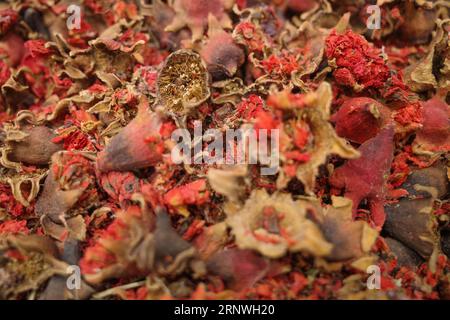 Marrakech, Marocco - 8 febbraio 2023: Fiori di melograno secchi. Museo delle arti culinarie marocchine Foto Stock